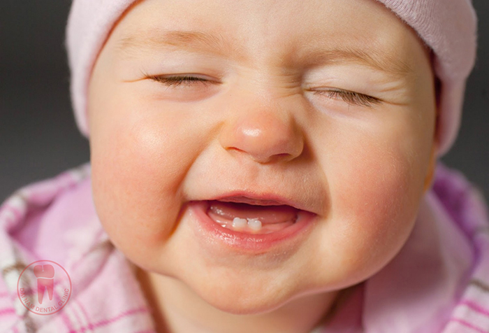The milk teeth will be the basis for the formation of permanent teeth later